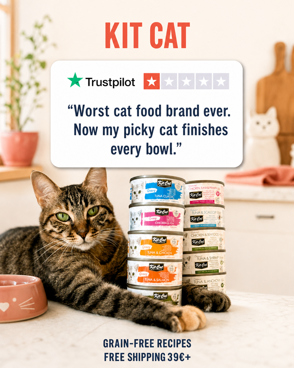 Kitcat Outreach 001  Ad 01 Trustpilot Ironic
